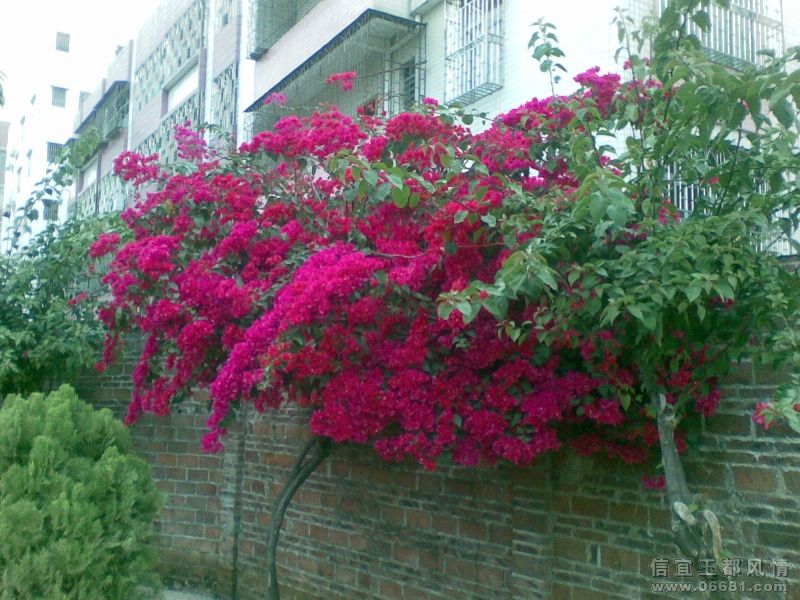 20090227(009).jpg