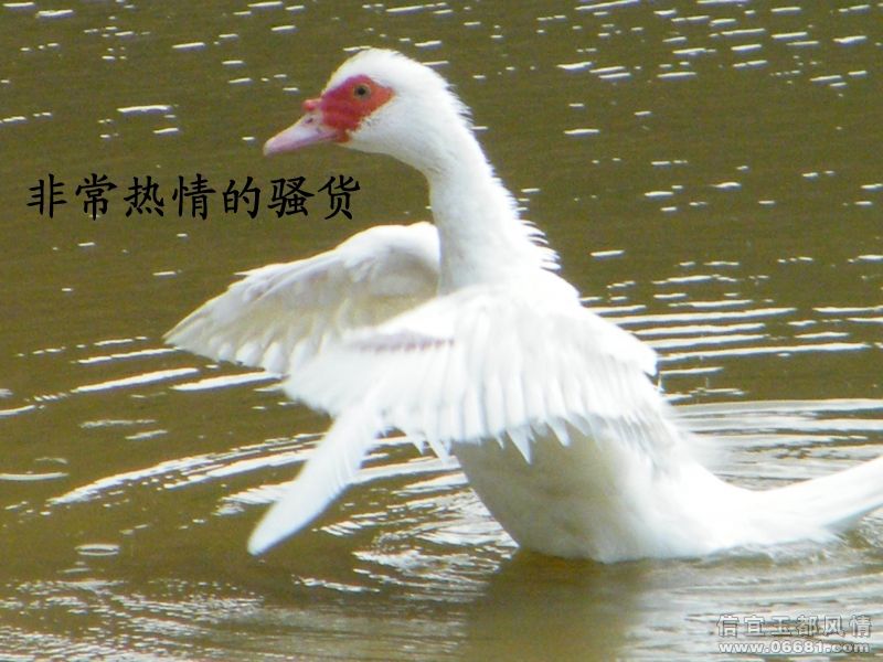 DSCF3526.JPG