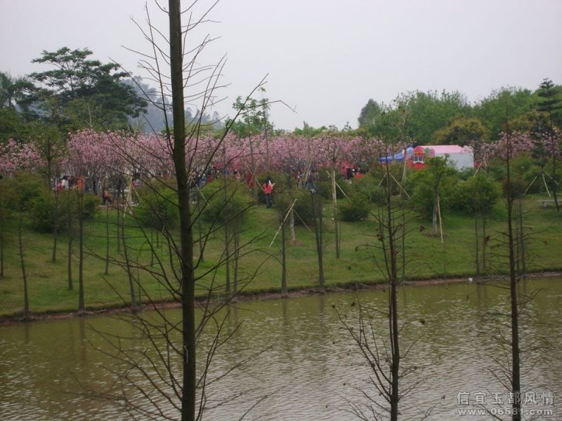 DSC01208.jpg