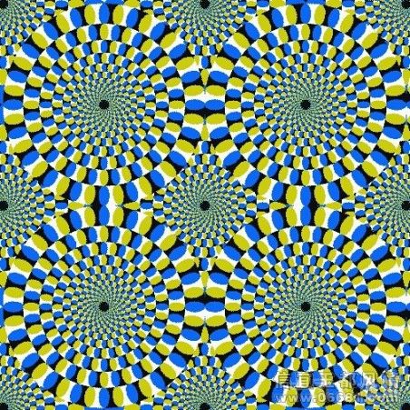 36975604.jpg