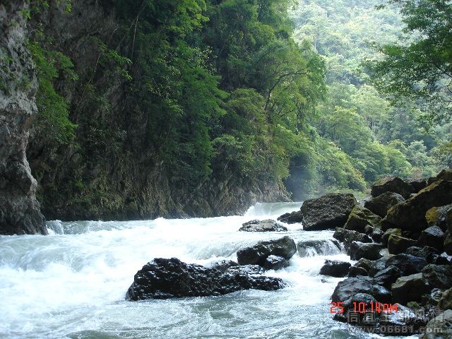 DSC02203.JPG