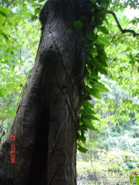 DSC02240.JPG