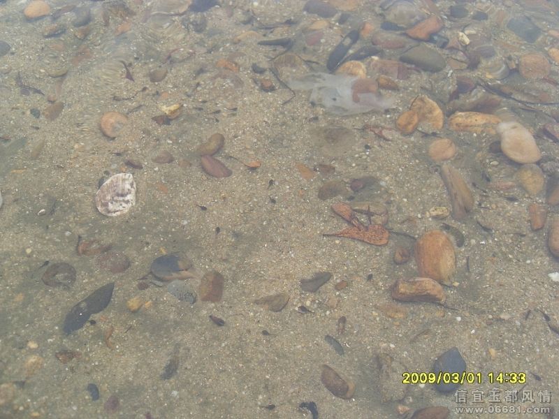 SDC10081.jpg