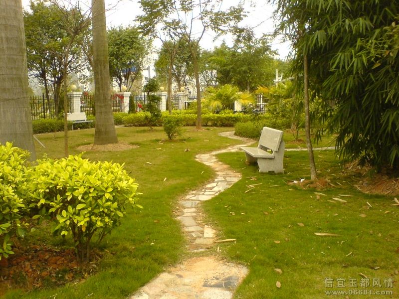 DSC01123.JPG
