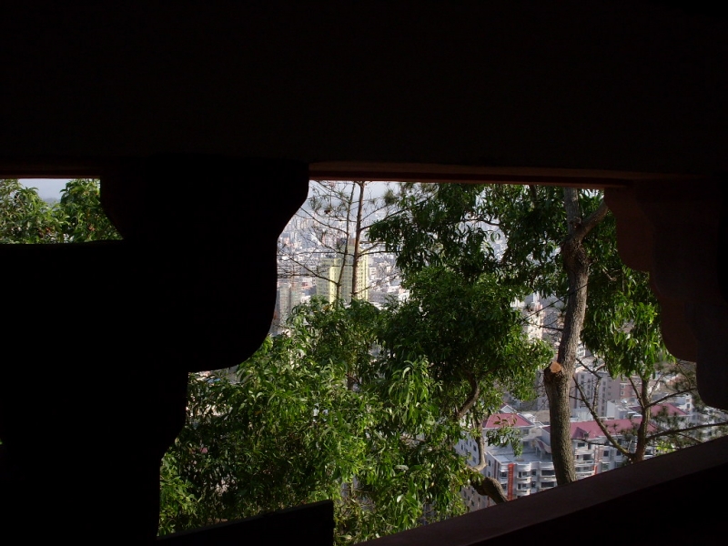 SDC13949.JPG