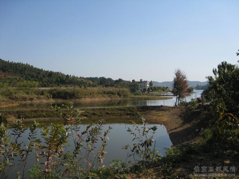 ������С IMG_5545.JPG