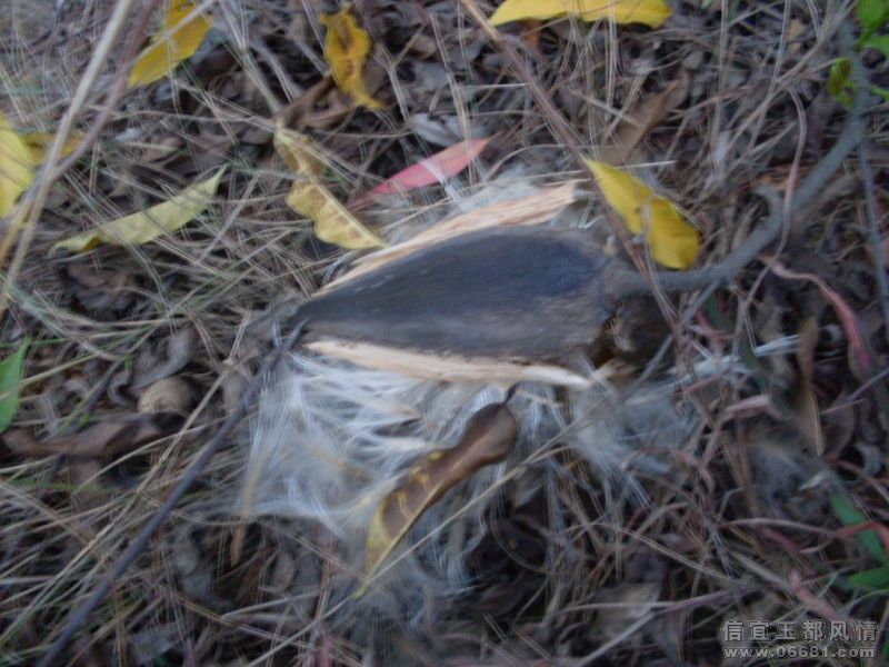 SDC14100.JPG