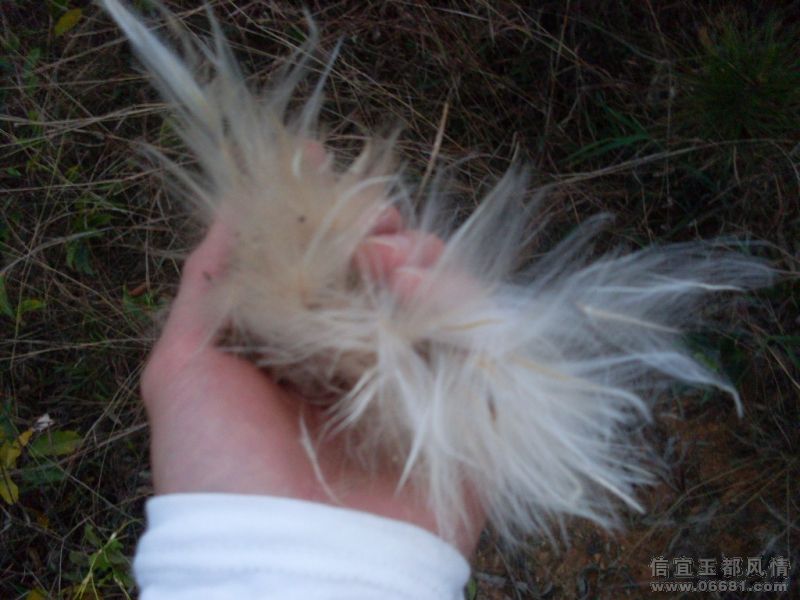 SDC14107.JPG