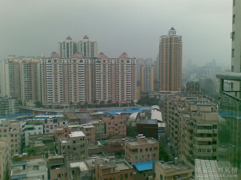 20090321.jpg