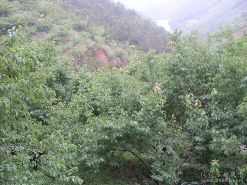 SDC14540.JPG