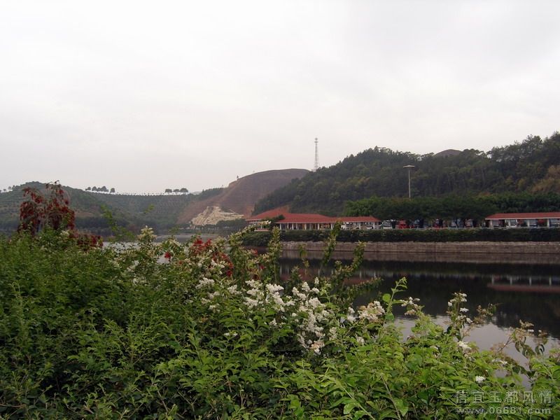 P3262790.JPG
