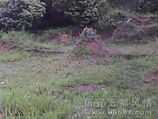 IMG0105A.jpg
