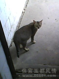 IMG0147A.jpg