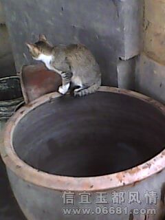 IMG0163A.jpg