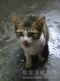 IMG0146A.jpg