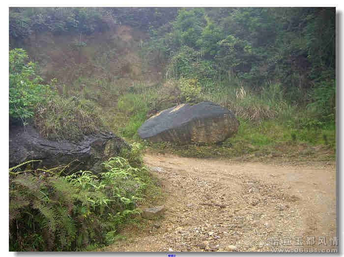 CIMG2005.jpg