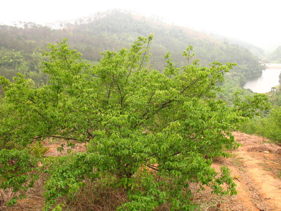 2009-3-27 032.jpg