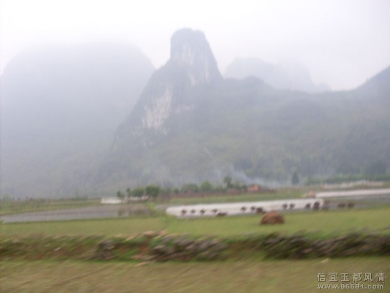SDC15059.JPG