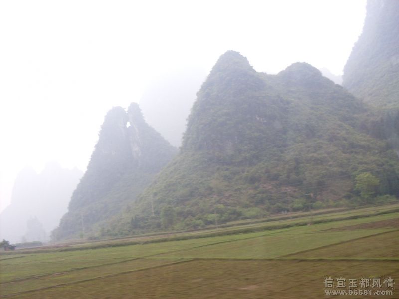 SDC15048.JPG