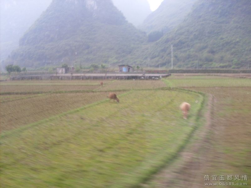 SDC15051.JPG