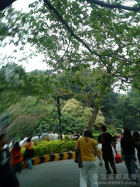DSC00539.jpg