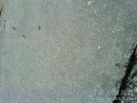 DSC00590.jpg