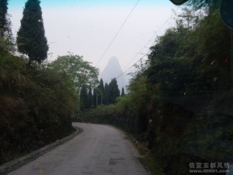 SDC15060.JPG
