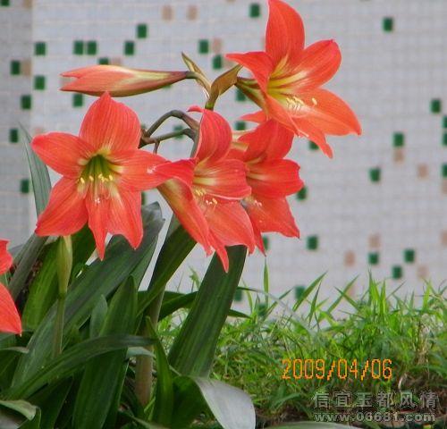 100_0242.jpg