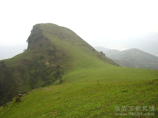 IMG_3582.JPG
