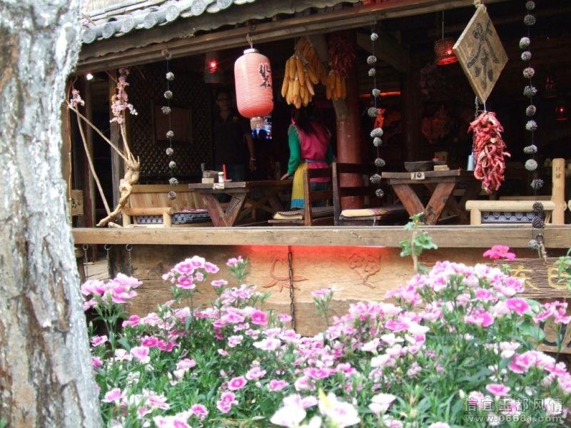 DSCF3886.JPG