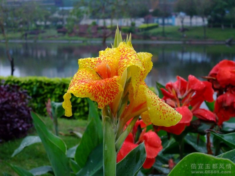 DSCF0582.jpg