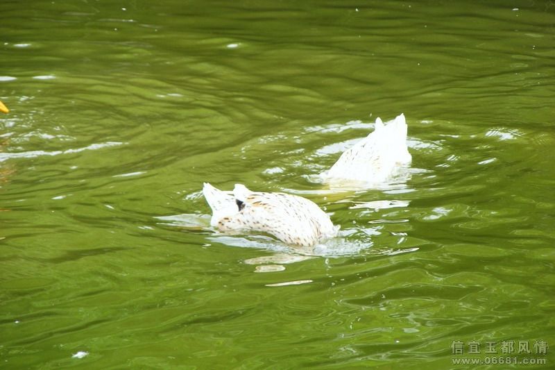 DSCF2740.JPG