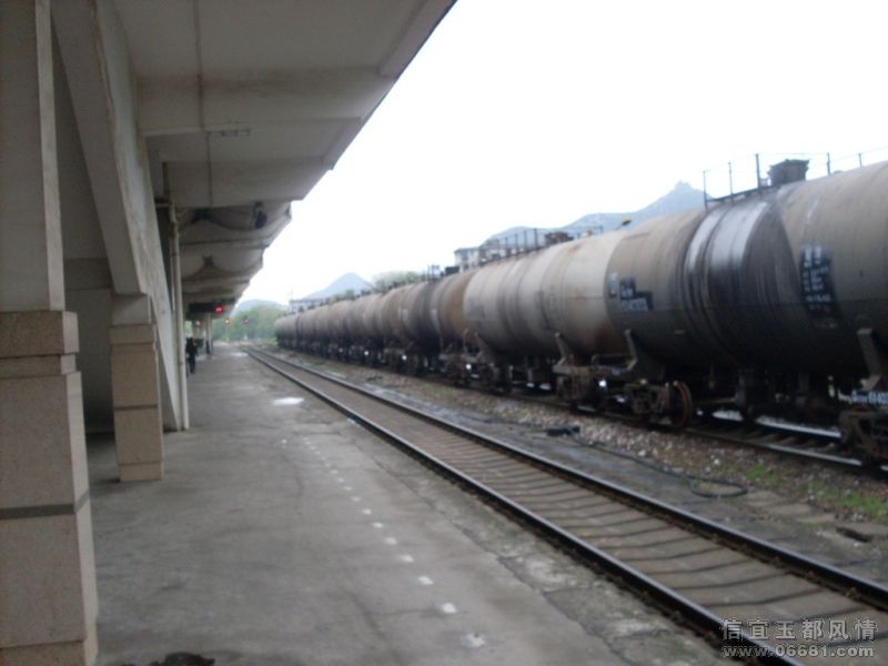 SDC15302.JPG