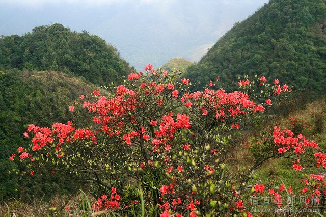 IMG_1776.JPG
