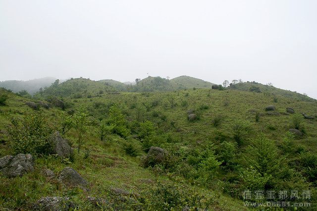 IMG_2738.JPG