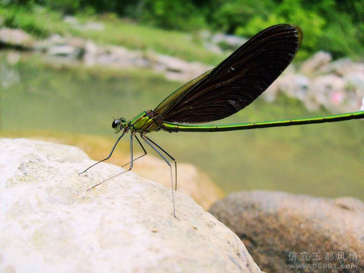 S6300452.JPG