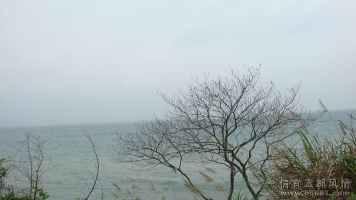 DSC06261.JPG