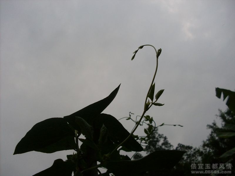 SDC16143.JPG