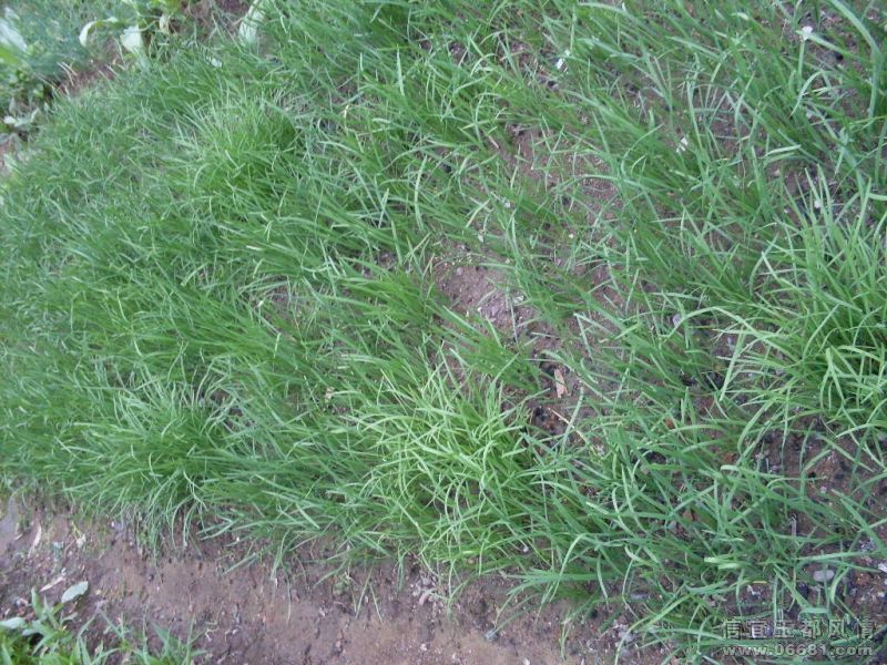 SDC16064.JPG