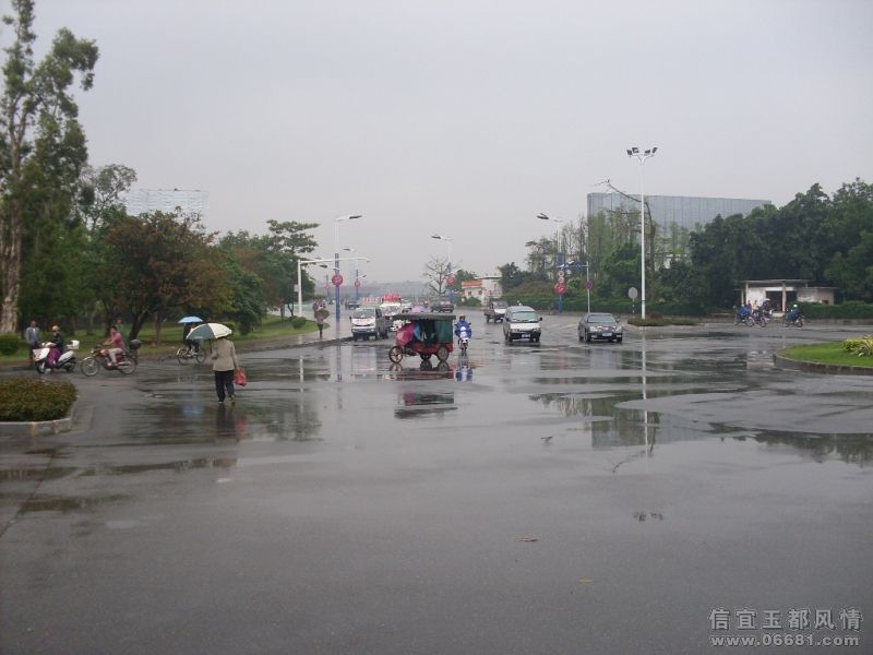 SDC15410.JPG