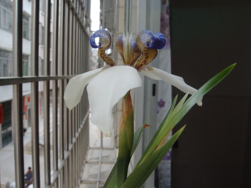 IMAG0098.jpg