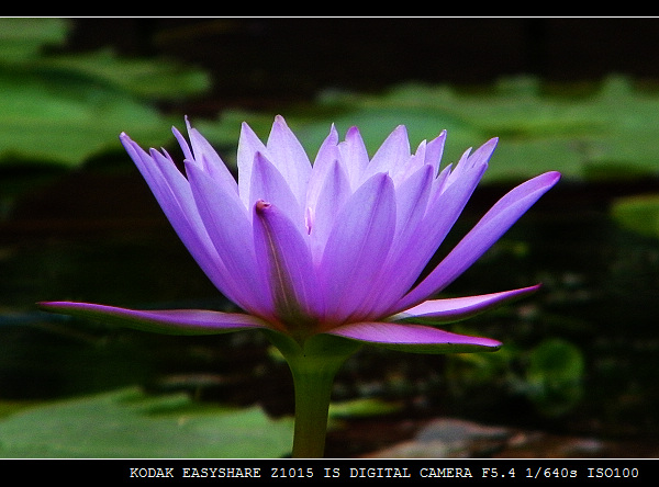 100_0710.jpg