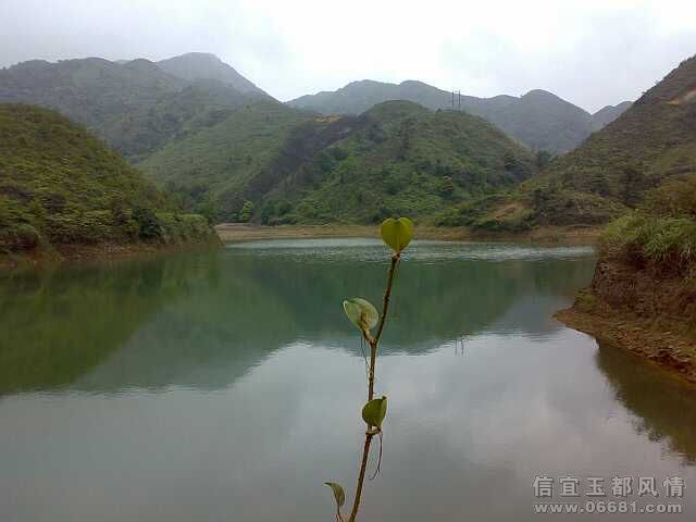 20090503774-С.jpg