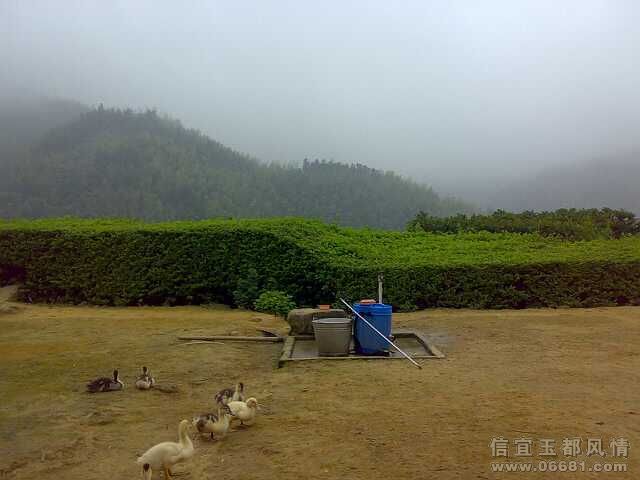 20090503637-С.jpg