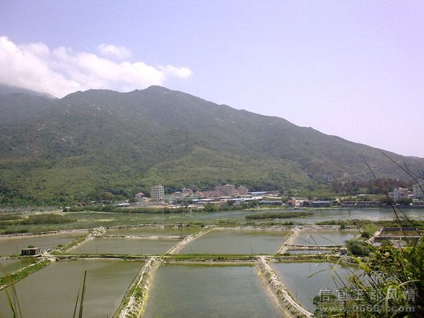 20090509119.jpg