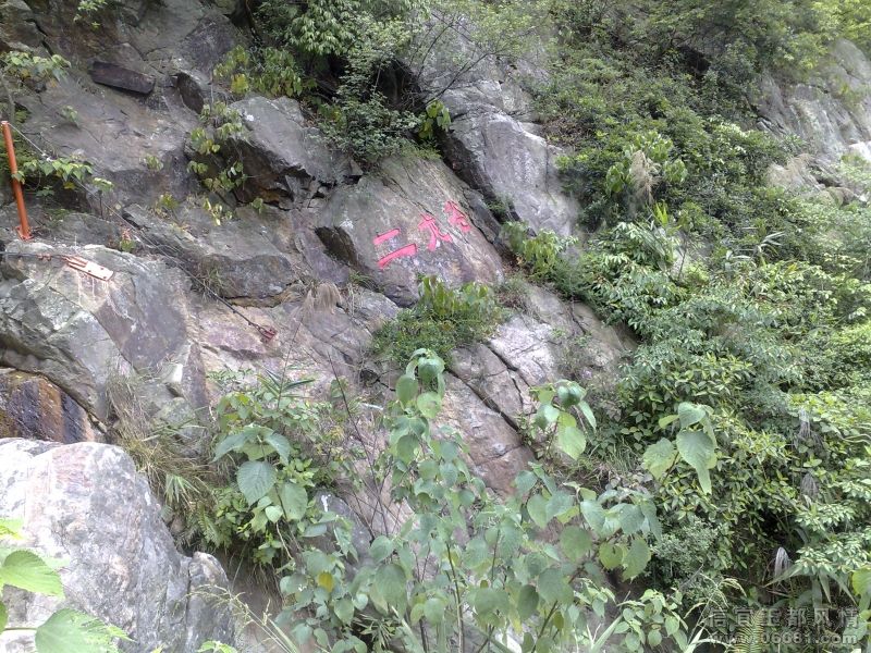 20090509103.jpg