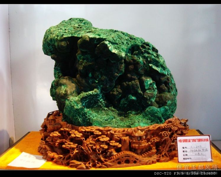 nEO_IMG_DSC05629.jpg