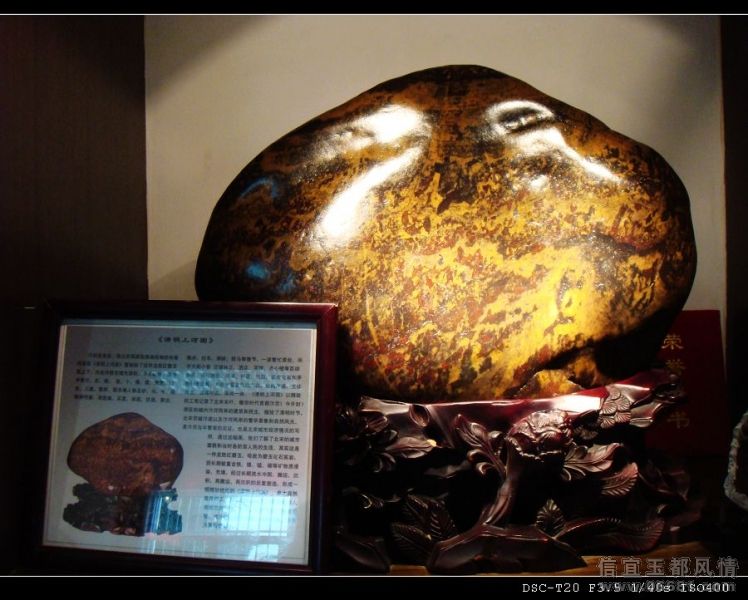 nEO_IMG_DSC05714.jpg