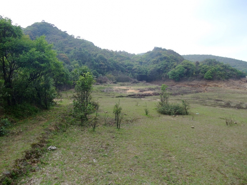 09-0501 391.jpg