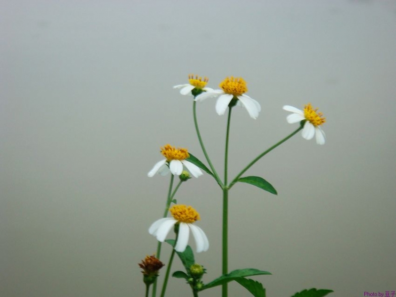 nEO_IMG_DSC05825.jpg